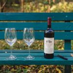 Two Glass and a bottle of wine on a park bench