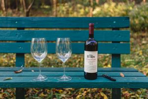 Two Glass and a bottle of wine on a park bench