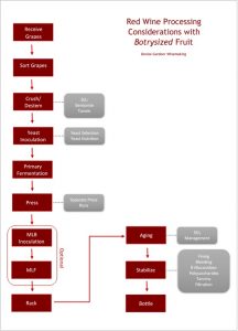 Red Wine Processing Considerations with Botrysized Fruit