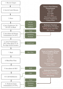 Pét-nats production steps