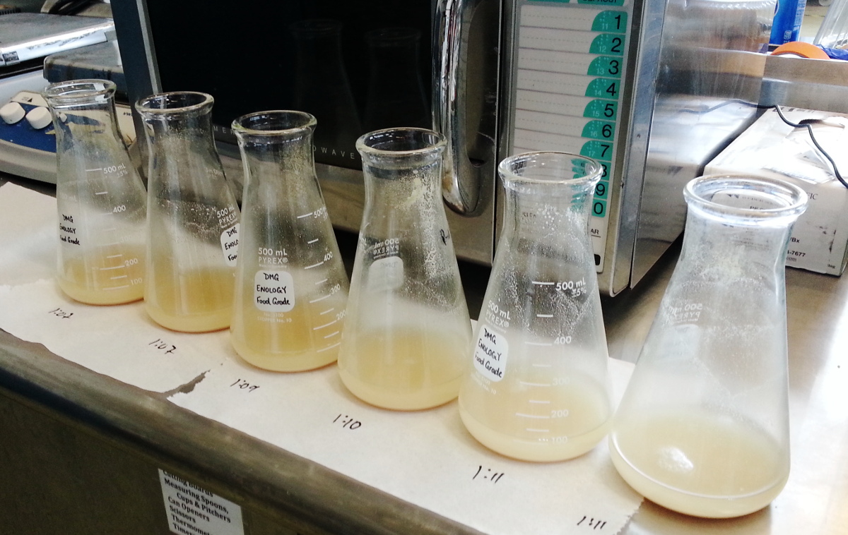 FREE: Fermentation Nutrition: What to Know and Why to Know It • Denise ... - Inoculations Rs