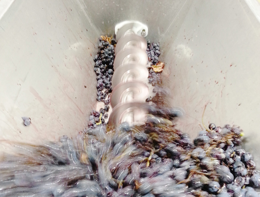 Production Guide Red Wine Production Diagram Primary Fermentation