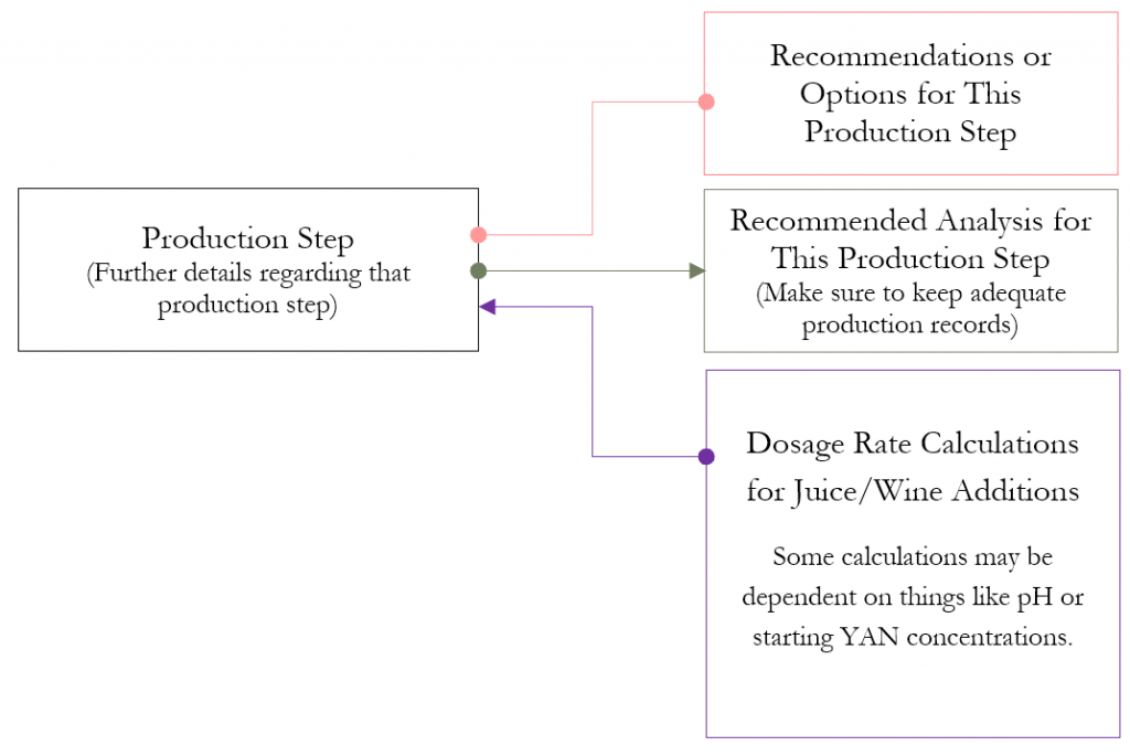 Red Wine Production Co-Fermentation Process Part 1