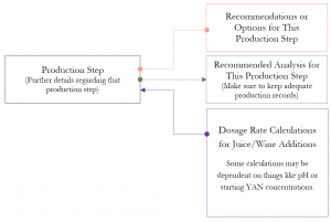 Red Wine Production Co-Fermentation Process Part 1
