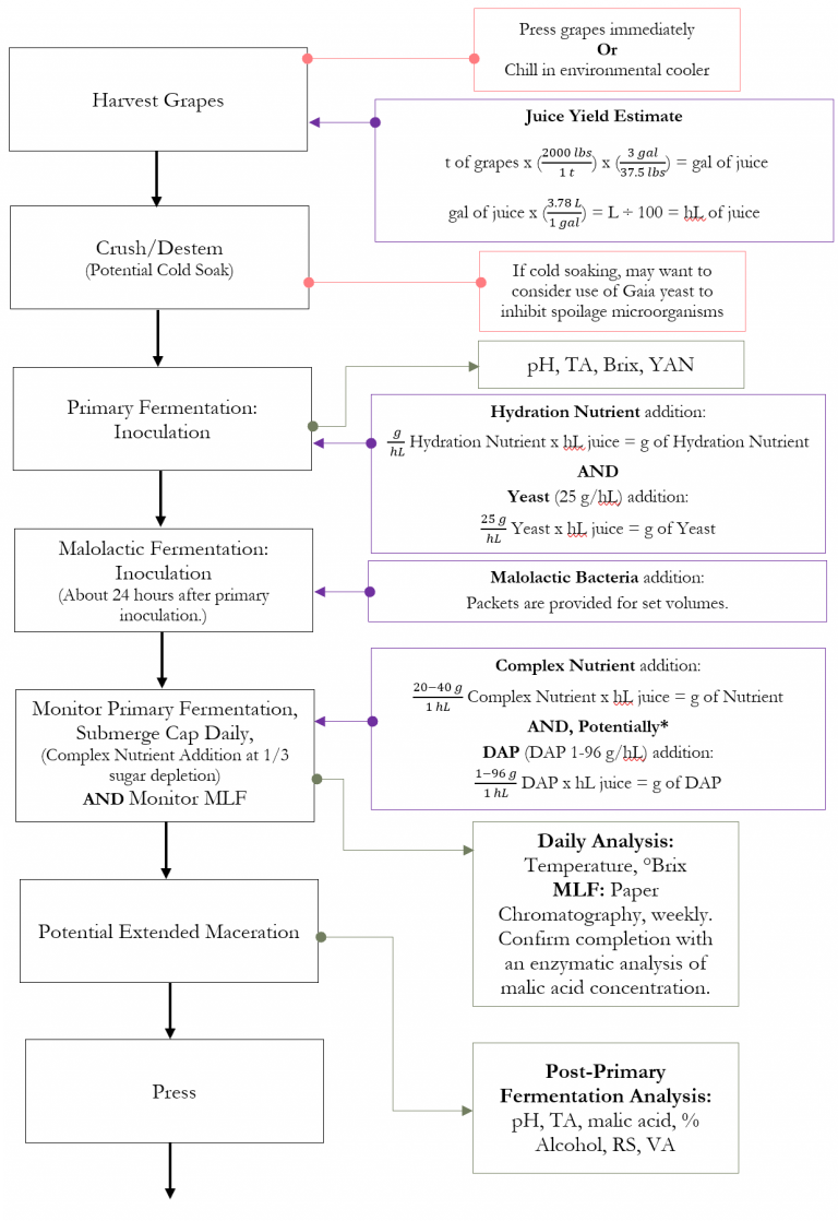Production Guide Red Wine Production Diagram CoFermentation