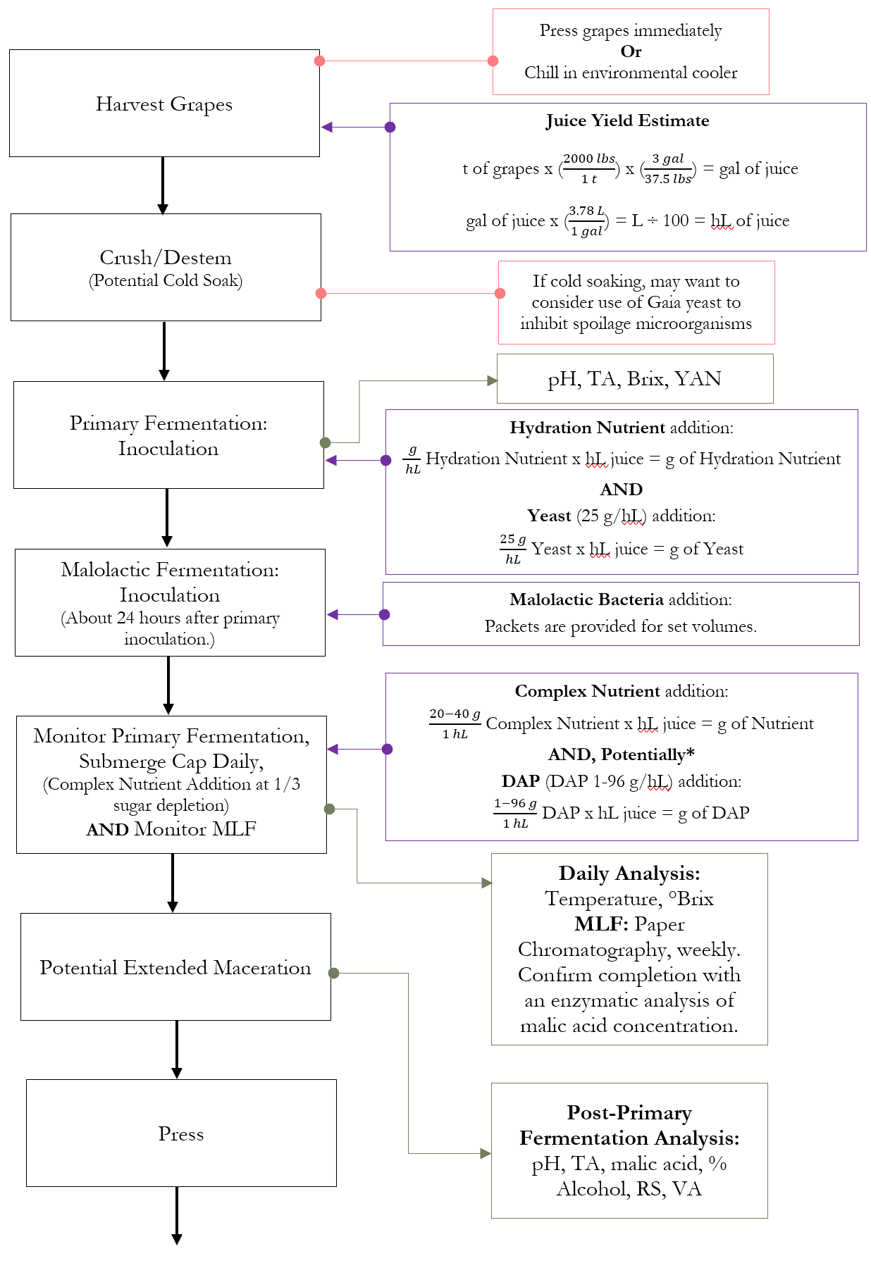 Red Wine Production Co-Fermentation Process Part 2