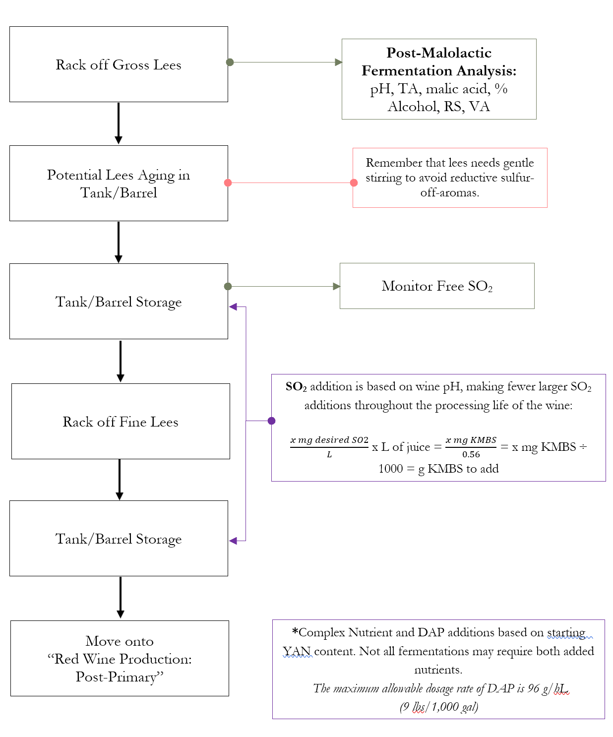 Red Wine Production Co-Fermentation Process Part 3