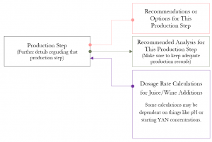 Primary Fermentation with Sequential MLF for Red Wine Part 1