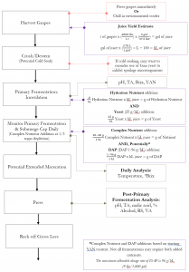 Primary Fermentation with Sequential MLF for Red Wine Part 2