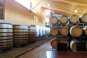 penner ash wine barrels in cellar